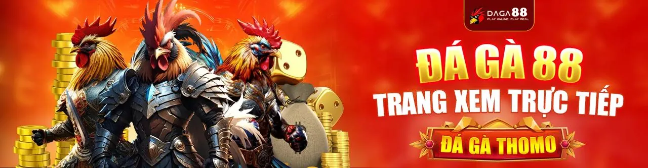Đá gà trực tuyến sôi động tại Xvip Link Mới